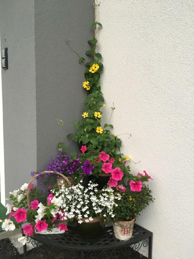 Kitz Juwel Apartment Hollersbach im Pinzgau Luaran gambar